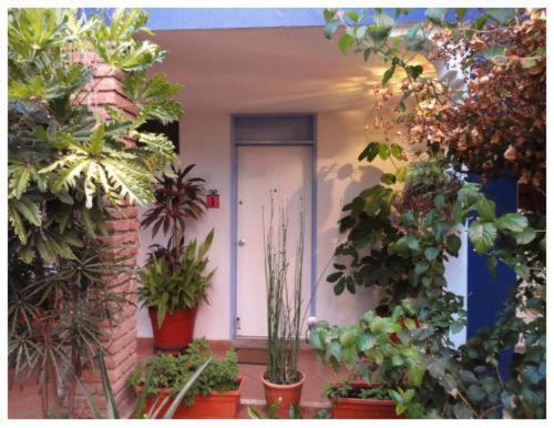 Suitel 522 Eco Hostel Mazatlán Kültér fotó