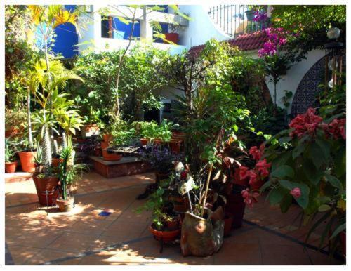 Suitel 522 Eco Hostel Mazatlán Kültér fotó