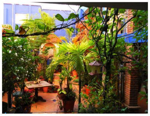 Suitel 522 Eco Hostel Mazatlán Kültér fotó